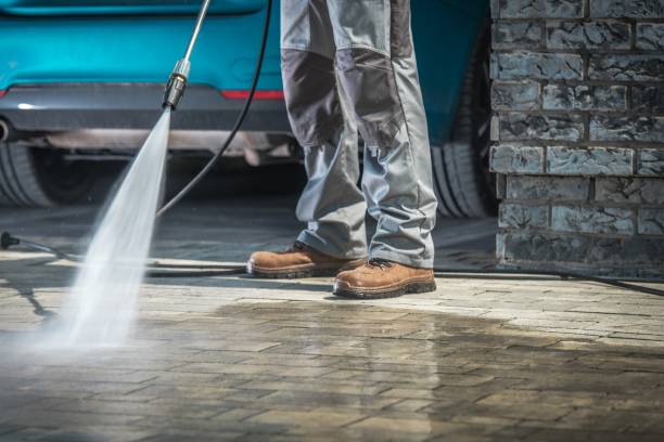 Best Sidewalk and Walkway Cleaning  in Roscoe, TX