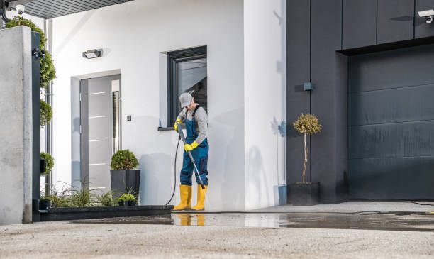 Best Pre-Holiday Cleaning  in Roscoe, TX